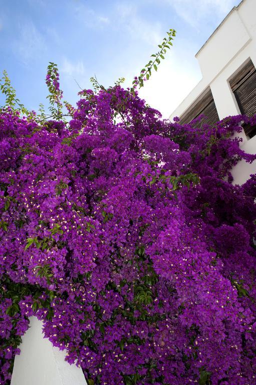 Haspeyma Otel Bodrum Kültér fotó